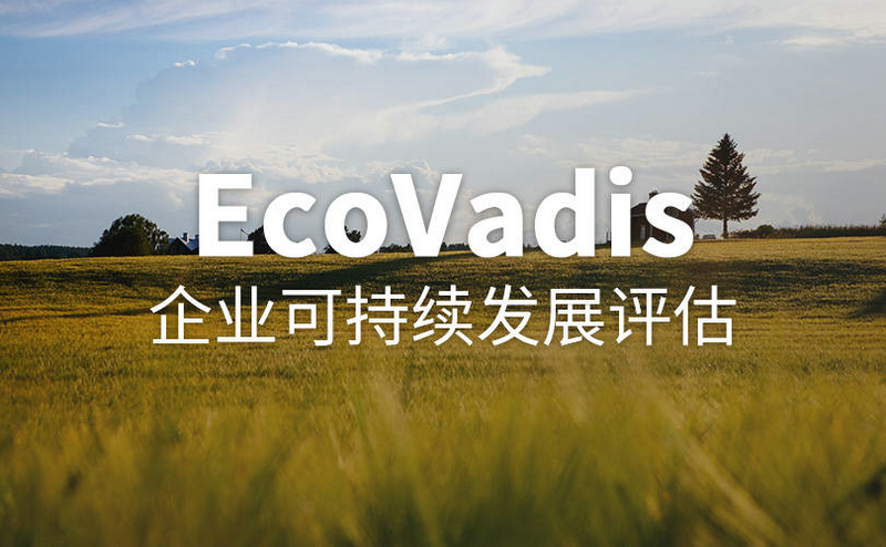 leverage供应链浅谈Ecovadis与企业发展的作用及利弊 leverage供应链浅谈Ecovadis与企业发展的作用及利弊
