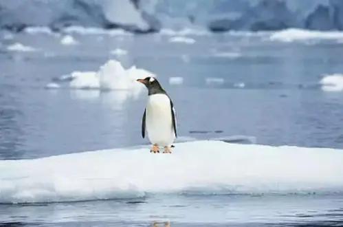 IPCC第六次评估报告第一工作组报告出炉(图1)