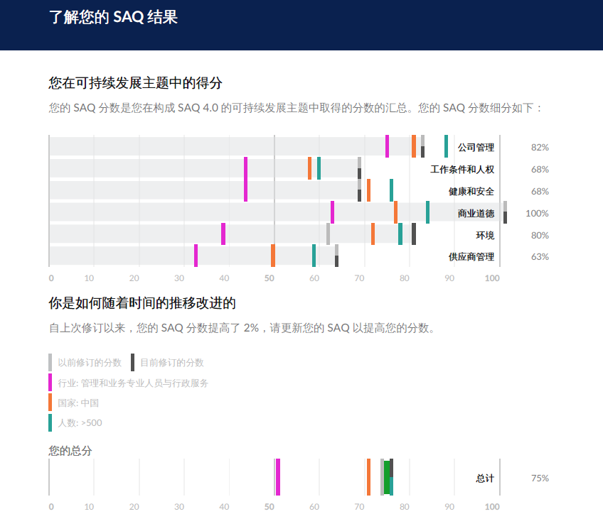 SAQ 5.0 _汽车行业的可持续发展实践工具