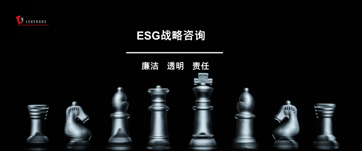 ESG 战略咨询     ESG 战略咨询