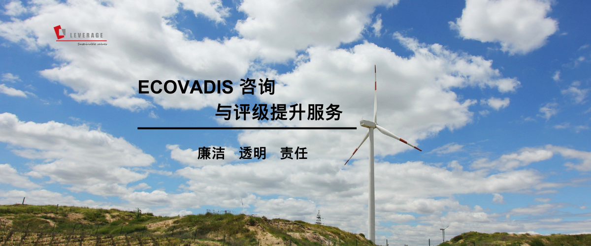 ECOVADIS 咨询 与评级提升服务  ECOVADIS 咨询 与评级提升服务