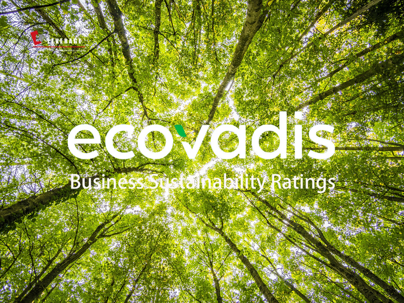 ECOVADIS认证等级表现不佳,影响ecovadis得分的要素有哪些?